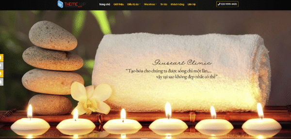 Website thẩm mỹ viện 42